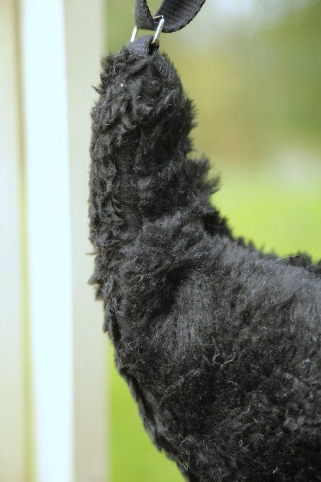 sac croissant de lune noir